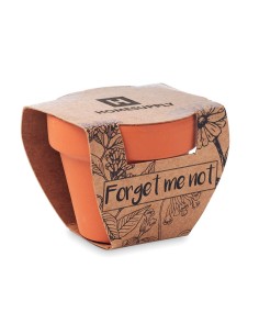 Macetas de terracota con...