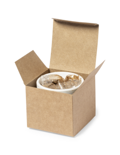 Macetas con semillas de cactus