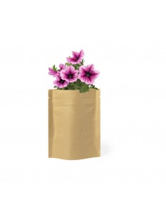 Macetas en sobre de papel