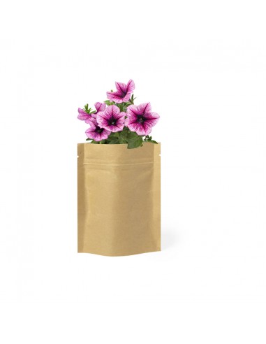 Macetas en sobre de papel