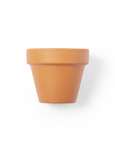 Macetas básicas con flores de petunia