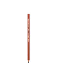 Lápices Bic ecolutions...