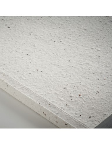 Libretas A5 con tapa blanda de papel de semillas