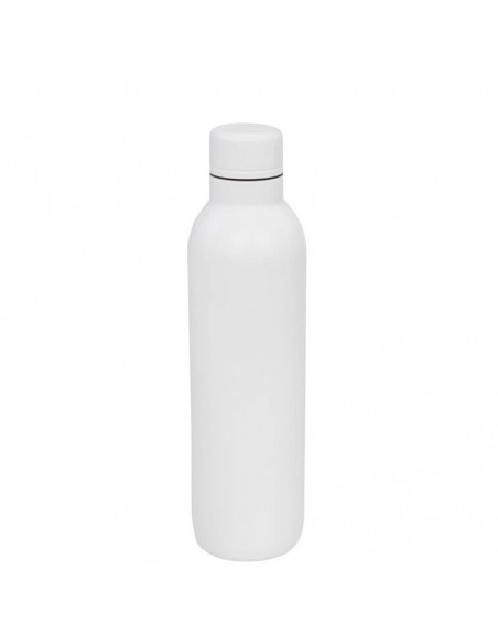 Bidones térmicos de acero inoxidable 510 ml